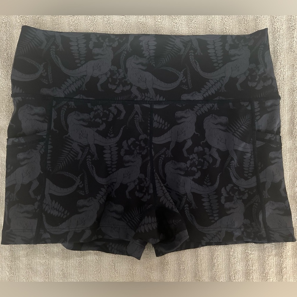 CVG: Constantly Varied Gear Short L Jurassic